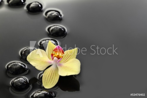 Picture of Black Zen stones and orchid on calm water background